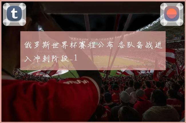 俄罗斯世界杯赛程公布 各队备战进入冲刺阶段_1