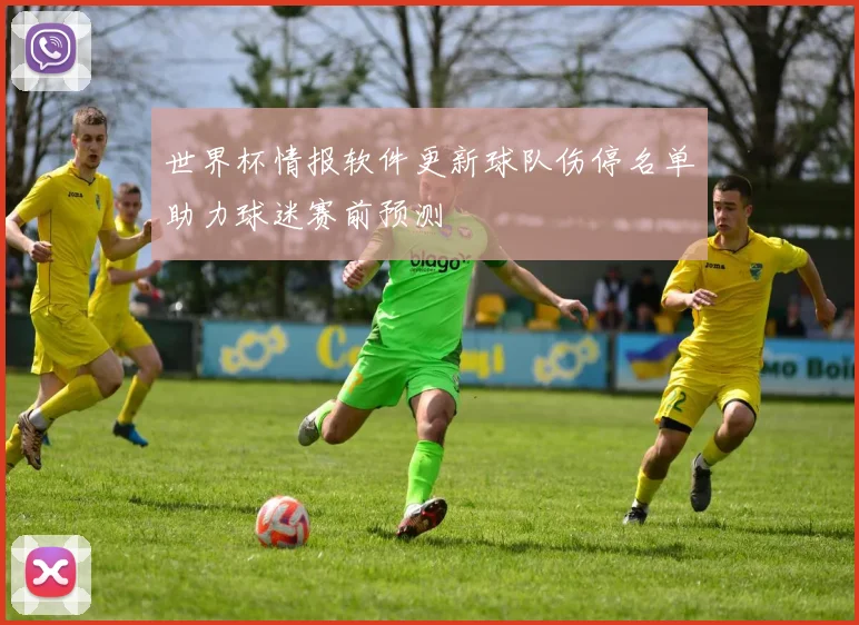 世界杯情报软件更新球队伤停名单助力球迷赛前预测
