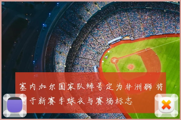 塞内加尔国家队绰号定为非洲狮 将用于新赛季球衣与赛场标志