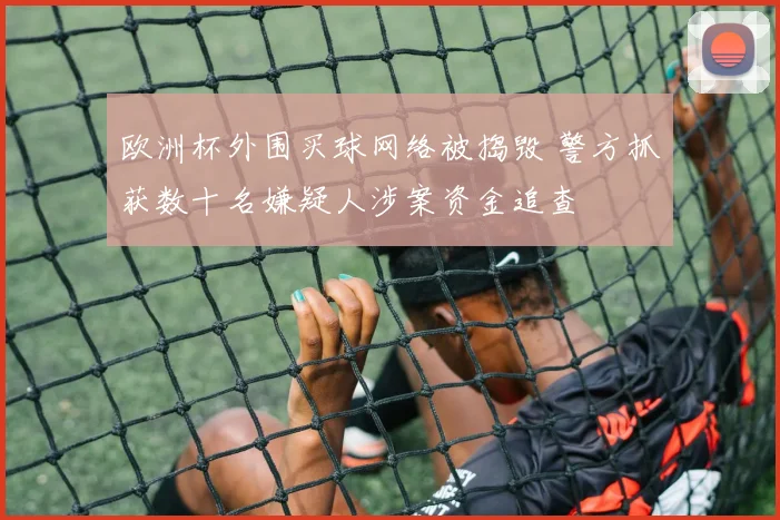 欧洲杯外围买球网络被捣毁 警方抓获数十名嫌疑人涉案资金追查