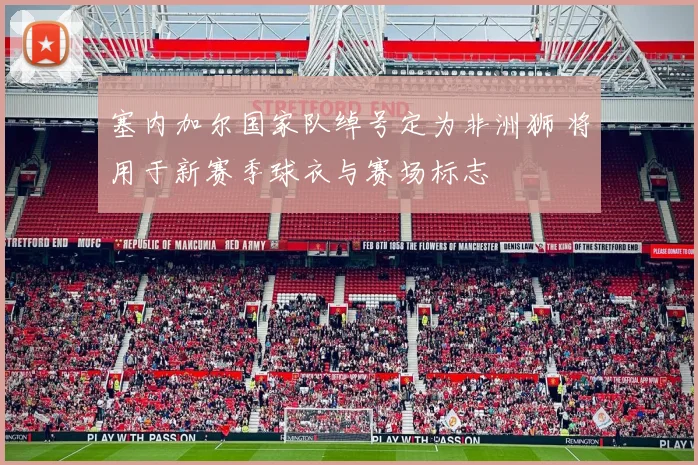 塞内加尔国家队绰号定为非洲狮 将用于新赛季球衣与赛场标志