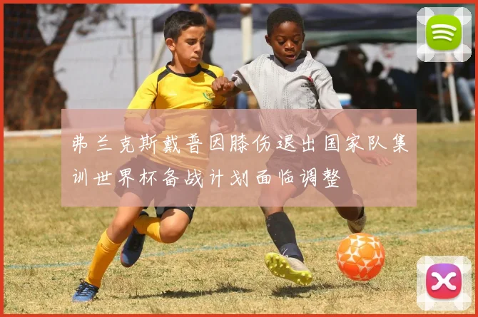 弗兰克斯戴普因膝伤退出国家队集训世界杯备战计划面临调整