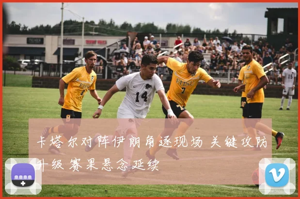 卡塔尔对阵伊朗角逐现场 关键攻防升级 赛果悬念延续